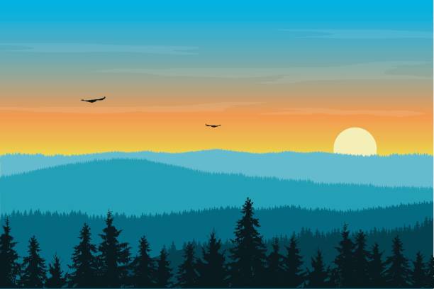 vektor-illustration der berglandschaft mit wald im nebel unter orange morgenhimmel mit sonne, wolken und fliegende vögel - sonnenuntergang stock-grafiken, -clipart, -cartoons und -symbole