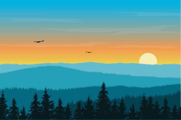 ilustraciones, imágenes clip art, dibujos animados e iconos de stock de ilustración de vector de paisaje de montaña con bosque de niebla bajo el cielo naranja de la mañana con sol naciente, nubes y aves voladoras - landscape fir tree nature sunrise