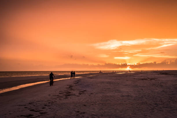 istock Sunset Landscape on the Beach 840302726