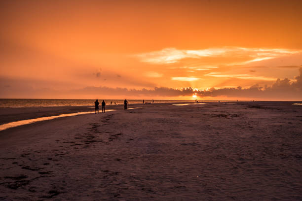 istock Sunset Landscape on the Beach 840303088