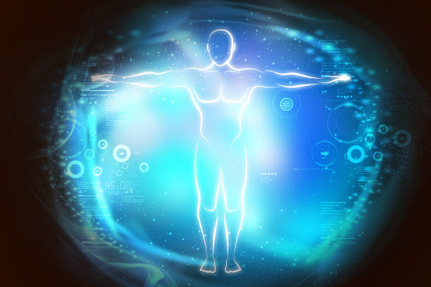 istock Sketch of human body in light 840303116