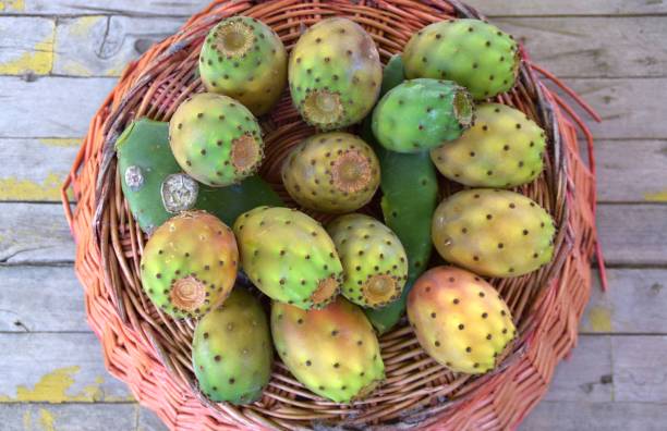 prickly pears on a basket - prickly pear fruit fotos imagens e fotografias de stock