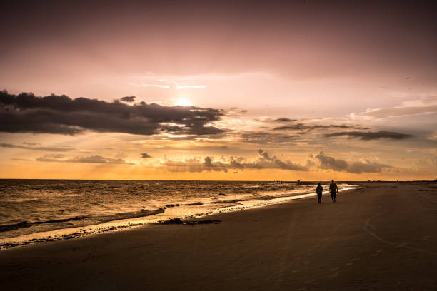 Sunset Landscape on the Beach Walking