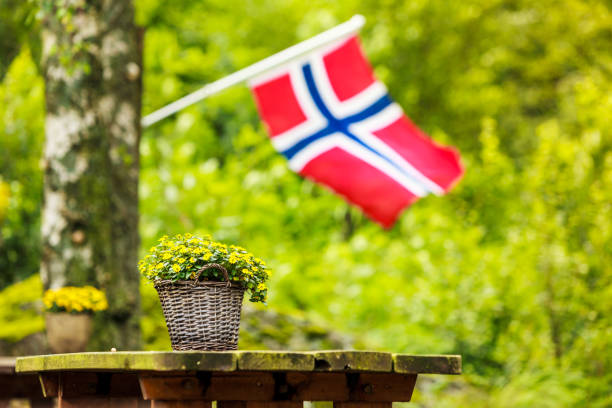 istock norwegian flag and green picnic site 840311246