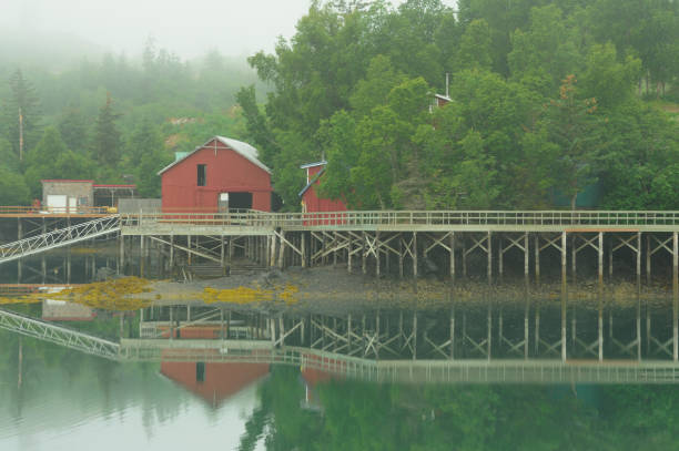 istock Boardwalk reflection in fog, coastal village, Alaska 840319346
