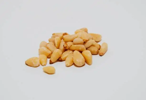 Isolated pignuts on white background