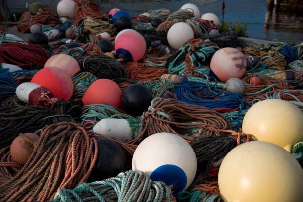 istock Buoys and Rope on the dock 840322374