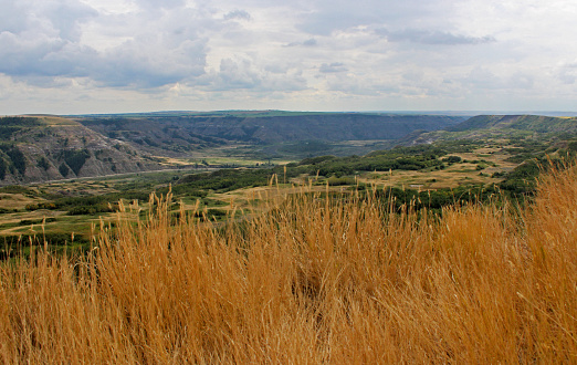 The northern-most of the known buffalo jumps in Alberta, Dry Island Buffalo Jump is the centrepiece of Dry Island Buffalo Jump Provincial Park, southeast of Red Deer, Alberta, Canada. Cree peoples drove bison over cliffs to kill them, using virtually every part of their carcasses for the survival of their families.