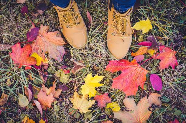 istock Casual unisex boots with colorful autumn fallen leaves. 840332964