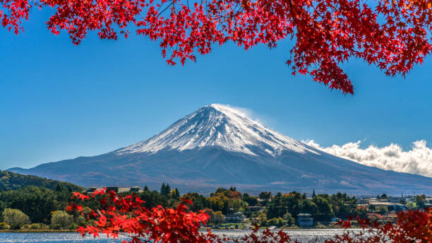 istock Mount Fuji in Autumn Color, Japan 840333702