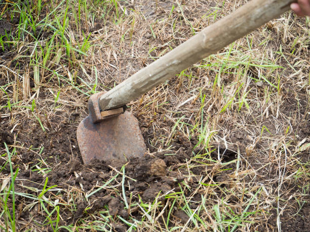 istock hoe in the garden 840340416