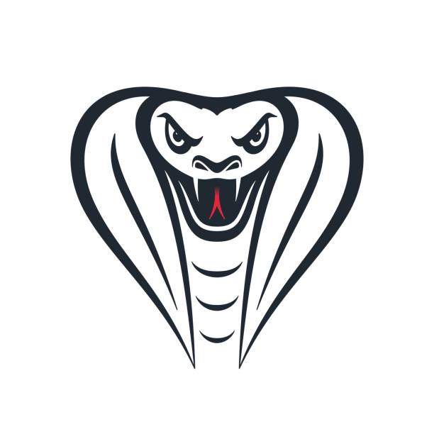 Furious cobra head, vector illustration Furious cobra head on white background. Snake head design. Vector illustration. venomous stock illustrations