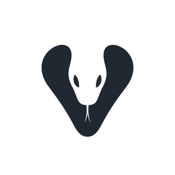 Cobra head, negative space, vector icon Cobra head with negative space on white background. Snake head design. Vector illustration. venom symbol stock illustrations
