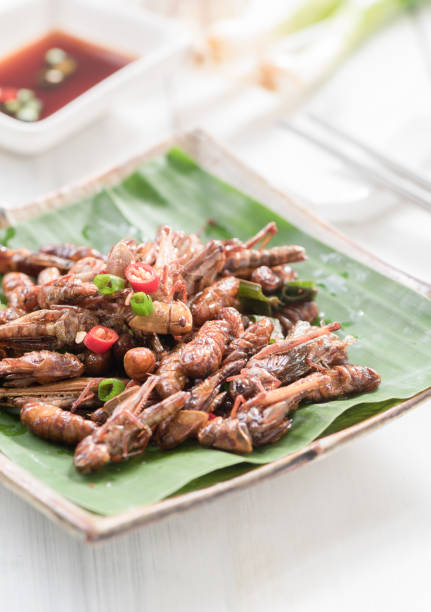 istock Fried grasshoppers and fried wormor fried silkworms 840355562