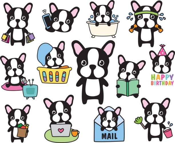 French Bulldog Boston Terrier Dog Vector Set Vector of French Bulldog or Boston Terrier dog activity set including shopping, working out, grocery shopping, working, cleaning, laundry, birthday. bulldog reading stock illustrations