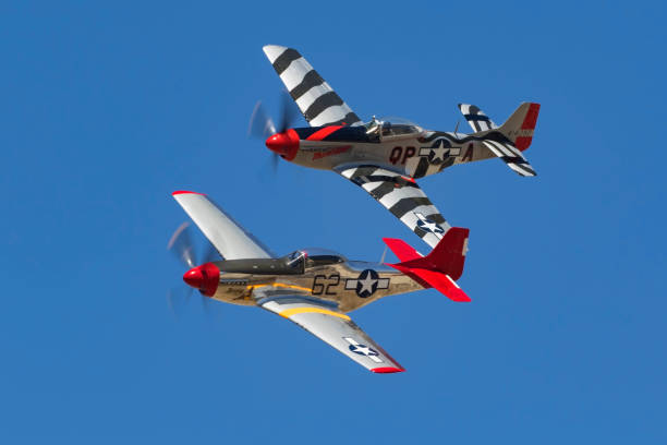 Airplanes pair of P-51 Mustang WWII fighters Los Angeles, California ,USA - August 19,2017. Pair of P-51 Mustang WWII aircraft flying at 2017 Camarillo Air Show. The 2017 Camarillo Airshow features vintage WWII aircraft flying for the public outside Los Angeles. p51 mustang stock pictures, royalty-free photos & images