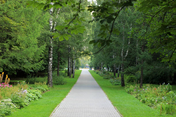 istock in the morning on a Park path 840369426