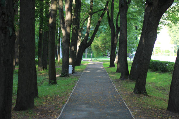 istock in the morning on a Park path 840369574
