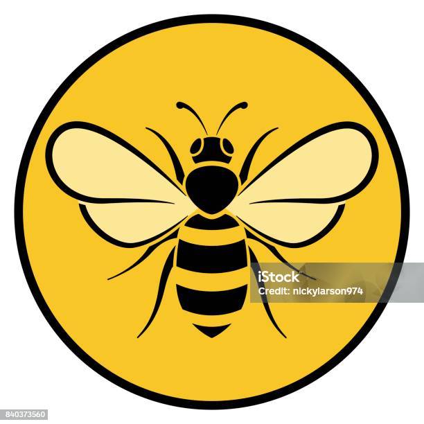 Bee Circle Yellow Icon Stock Illustration - Download Image Now - Honey Bee, Bee, Bumblebee