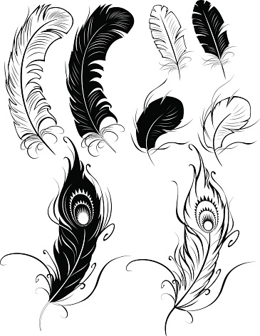 artistically painted feathers on a white background.