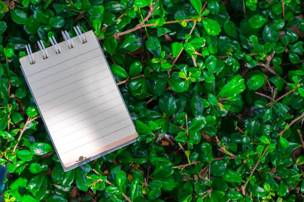 istock Notepad with pencil on tree blurry background in garden . using wallpaper or background for education, business photo. Take note of the product for book with paper and concept or copy space. 840381580
