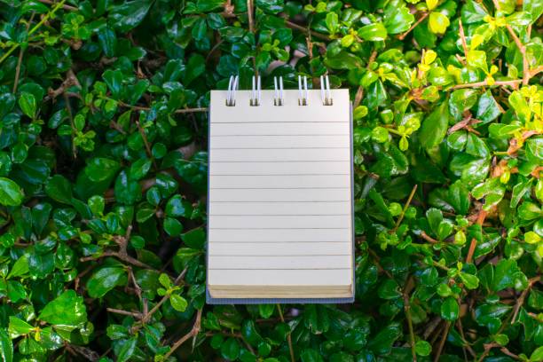 istock Notepad with pencil on tree blurry background in garden . using wallpaper or background for education, business photo. Take note of the product for book with paper and concept or copy space. 840381696