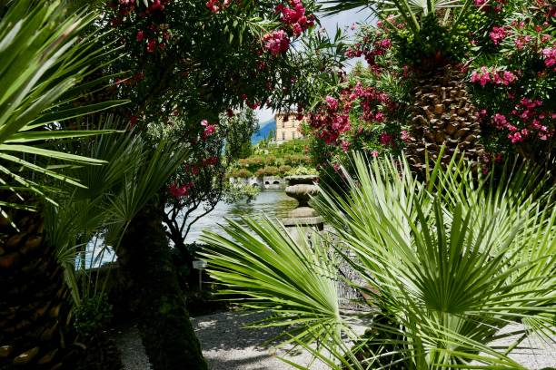 istock Garden on Lake como shoreline 840381782