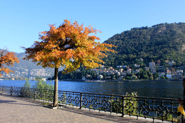 lussuosa villa storica sul lago di como. accogliente vicolo nel parco - cloud cloudscape color image cypress tree foto e immagini stock