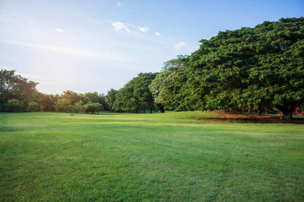 istock Lawn of nature with sky. 840387980