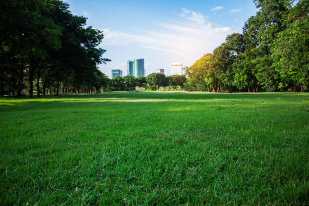 istock Lawn of city parks. 840387986