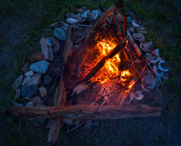 istock fire burning on the beach at night. bright fire, firewood. 840393006