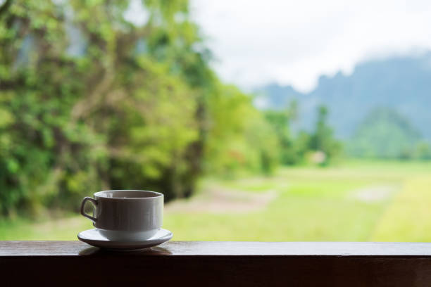 istock Coffee cup with saucer, natural green background 840396630