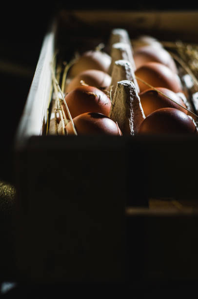 istock Chicken eggs in a wooden box. Dark style shot 840419152