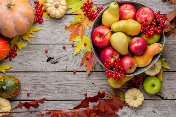 fundo de cartão outono de colheita e de ação de graças - abundance apple red yellow - fotografias e filmes do acervo