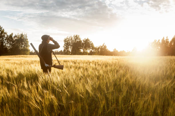 istock Hunting at golden hour 840436220