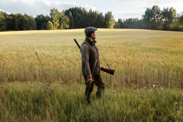 istock Hunting at golden hour 840436222