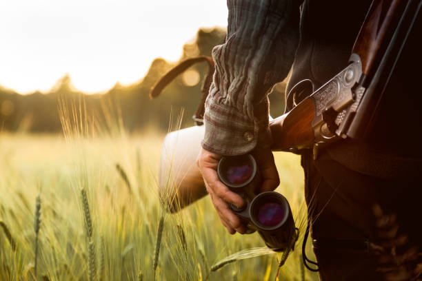 istock Hunting at golden hour 840436238
