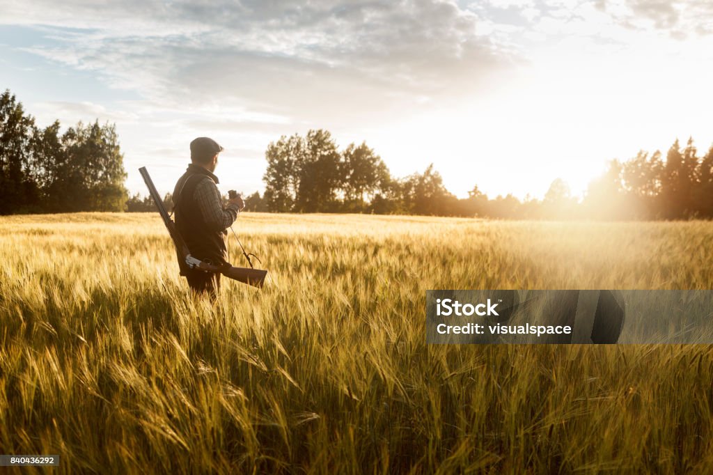 Chasse à l’heure d’or - Photo de Type de chasse libre de droits