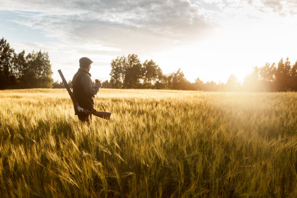 Hunting at golden hour