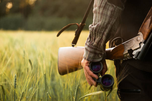 istock Hunting at golden hour 840436326