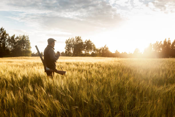 istock Hunting at golden hour 840436350