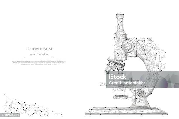 Ilustración de Gris De Poly Bajo Microscopio y más Vectores Libres de Derechos de Investigación - Investigación, Ciencia, Modelo de estructura de alambre