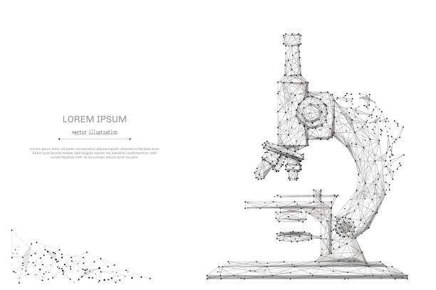 microscope low poly gray Abstract mash line and point microscope on background with an inscription. Starry sky or space, consisting of stars and the universe. Vector education and science illustration elementary particle stock illustrations