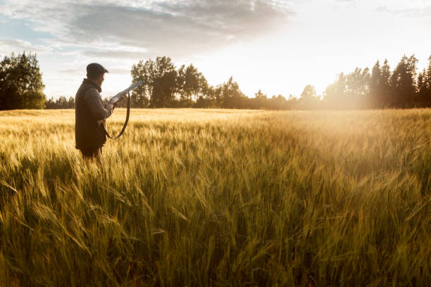 istock Hunting at golden hour 840436396