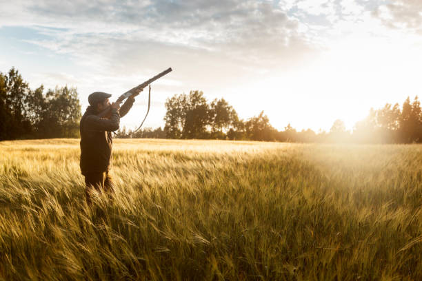 jagd auf die goldene stunde - people shotgun weapon horizontal stock-fotos und bilder