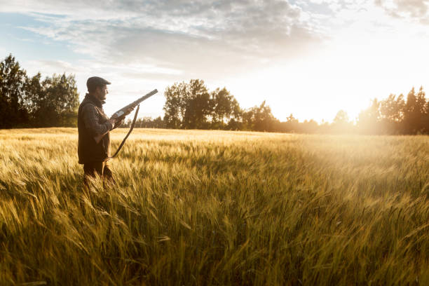 istock Hunting at golden hour 840436416
