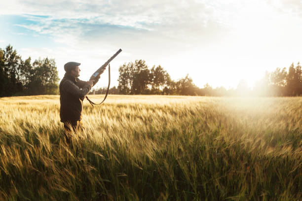 istock Hunting at golden hour 840436430
