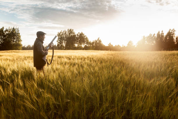 istock Hunting at golden hour 840436442