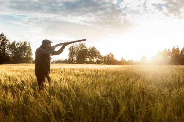 istock Hunting at golden hour 840436456