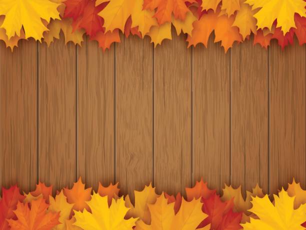 granica z upadłych liści klonu na drewnianym tle - rough backgrounds close up color image stock illustrations
